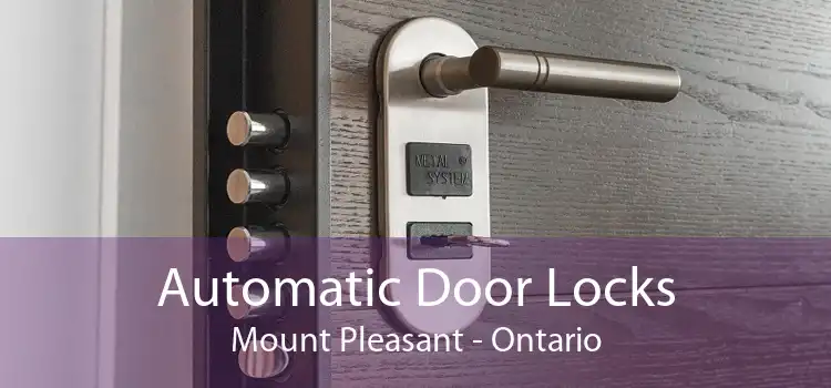 Automatic Door Locks Mount Pleasant - Ontario