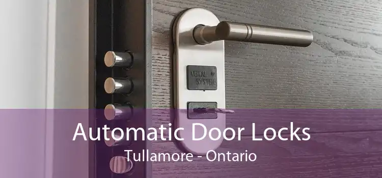 Automatic Door Locks Tullamore - Ontario