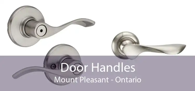 Door Handles Mount Pleasant - Ontario