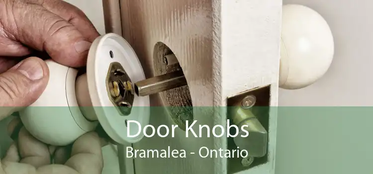 Door Knobs Bramalea - Ontario