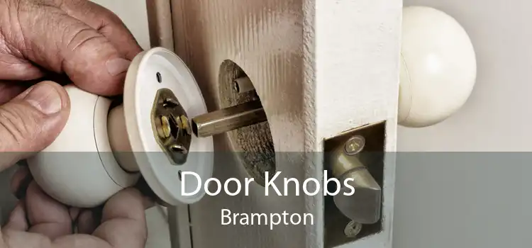 Door Knobs Brampton