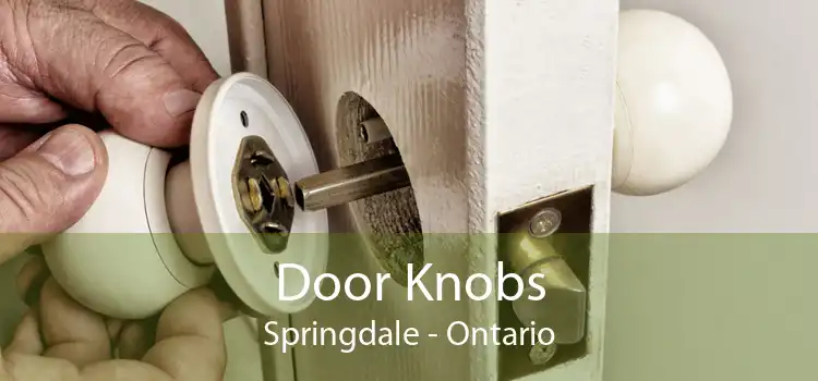 Door Knobs Springdale - Ontario