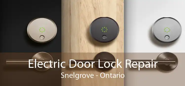 Electric Door Lock Repair Snelgrove - Ontario