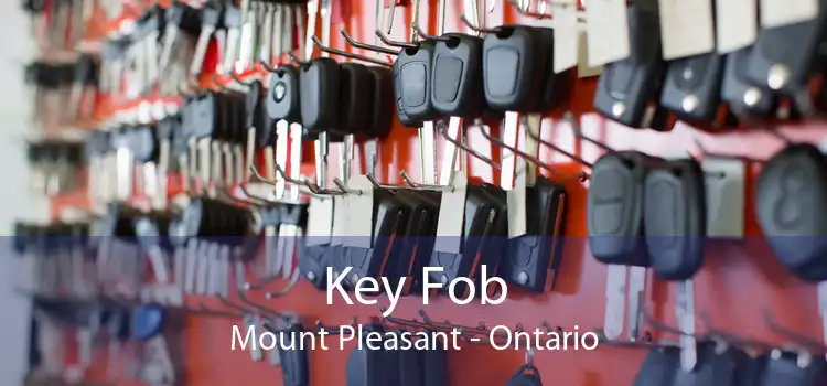 Key Fob Mount Pleasant - Ontario