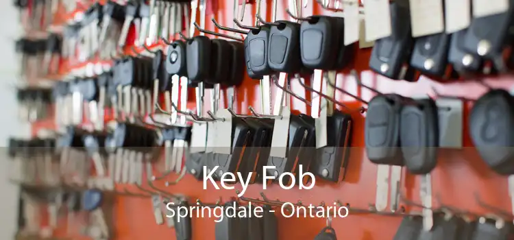 Key Fob Springdale - Ontario
