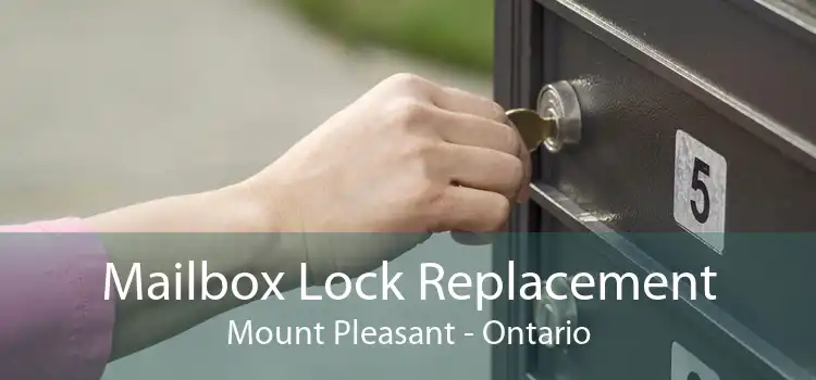 Mailbox Lock Replacement Mount Pleasant - Ontario