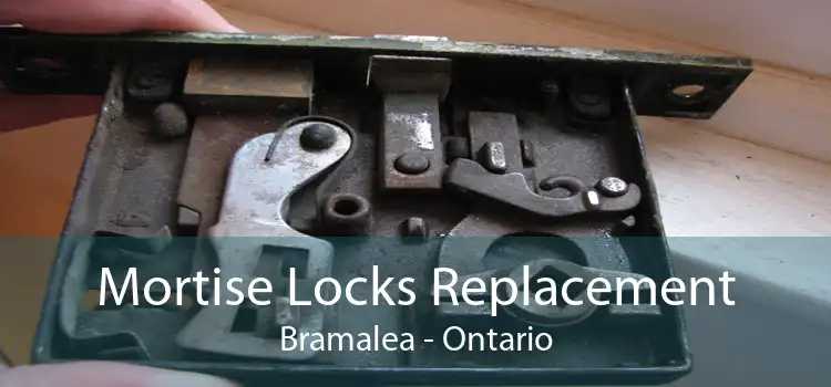 Mortise Locks Replacement Bramalea - Ontario