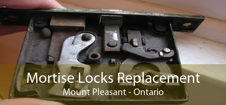 Mortise Locks Replacement Mount Pleasant - Ontario