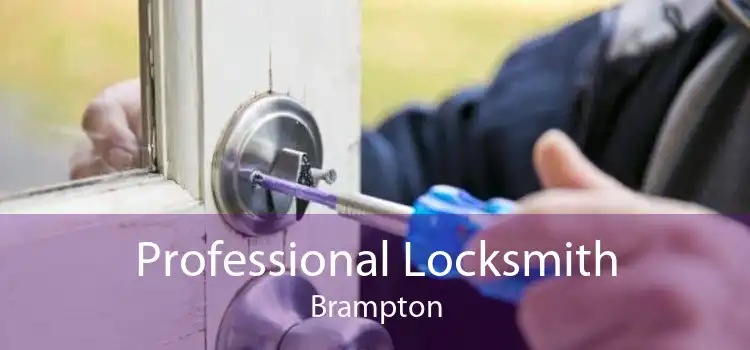 Professional Locksmith Brampton