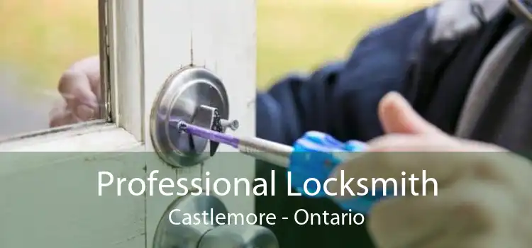 Professional Locksmith Castlemore - Ontario