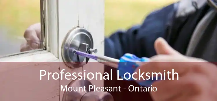 Professional Locksmith Mount Pleasant - Ontario