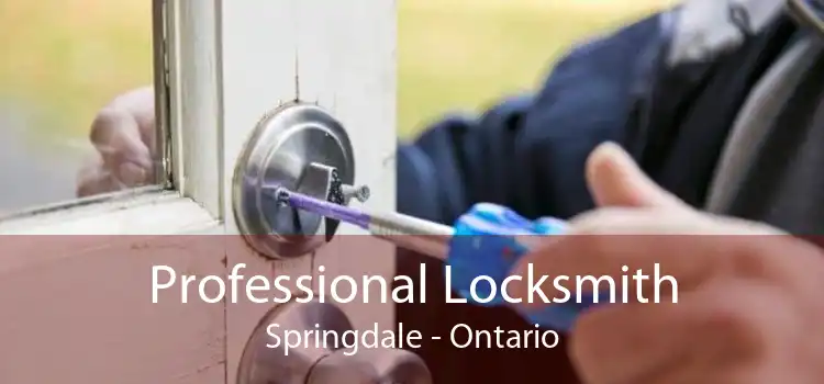 Professional Locksmith Springdale - Ontario