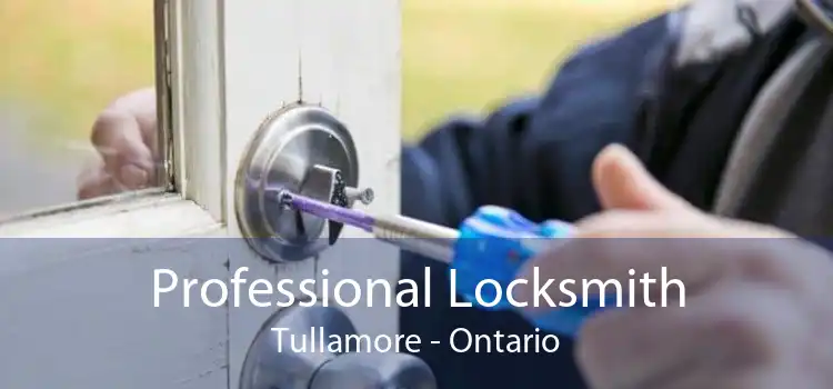 Professional Locksmith Tullamore - Ontario