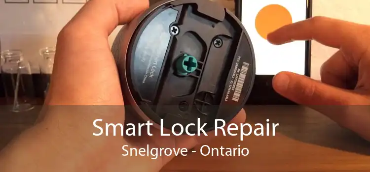 Smart Lock Repair Snelgrove - Ontario