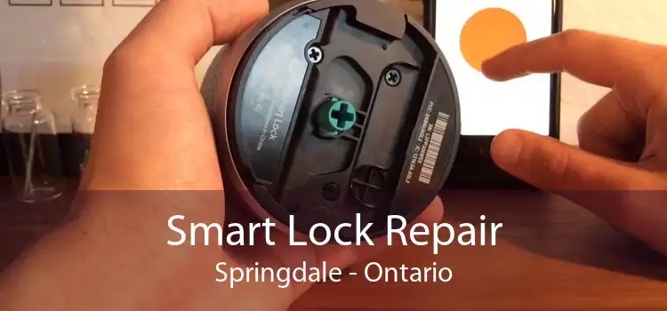 Smart Lock Repair Springdale - Ontario