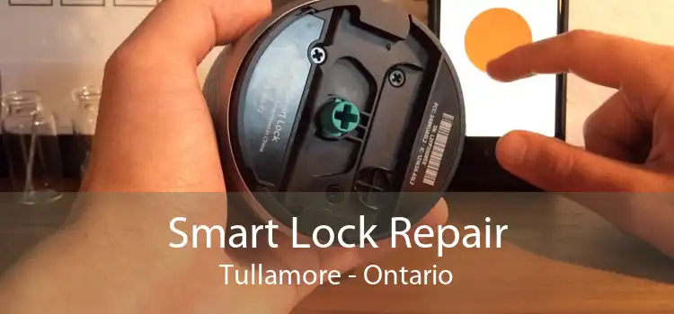 Smart Lock Repair Tullamore - Ontario